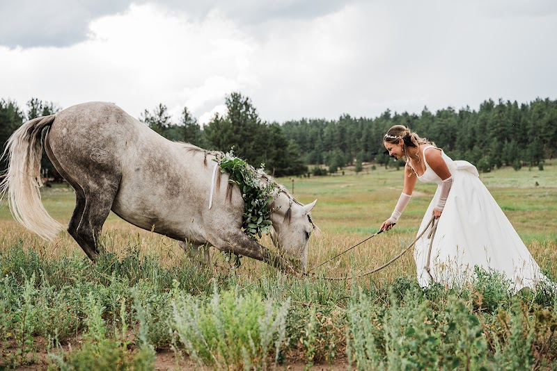 Nature's Haven Events - Colorado Mountain Wedding Venue - Event Venue in Lake George, Colorado