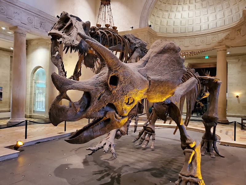 Natural History Museum of Los Angeles County - Event Venue in Los Angeles, California