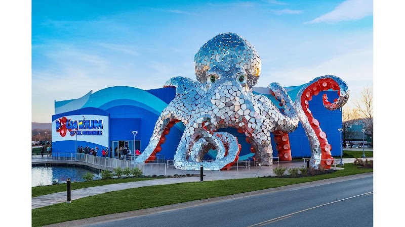 Aquarium at the Boardwalk - Event Venue in Branson, Missouri