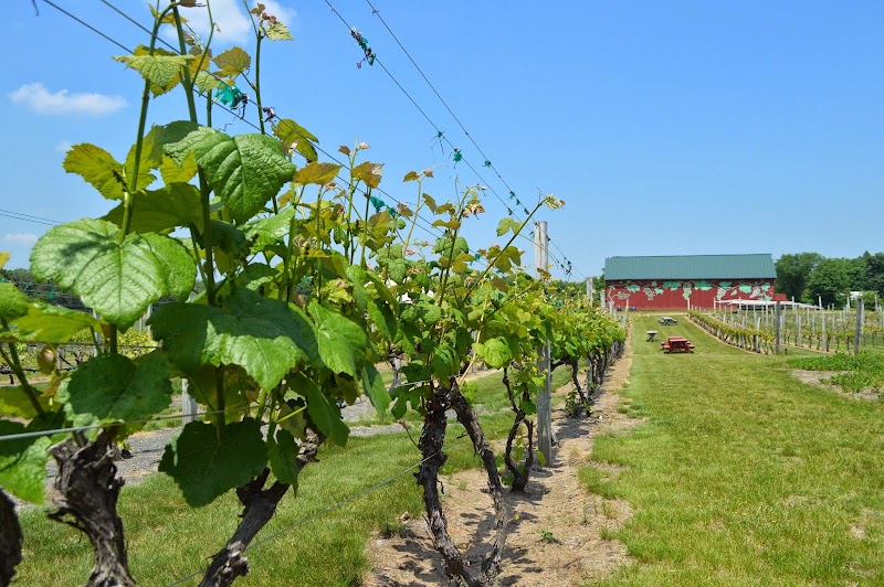 Rosedale Farms & Vineyards - Event Venue in Simsbury, Connecticut