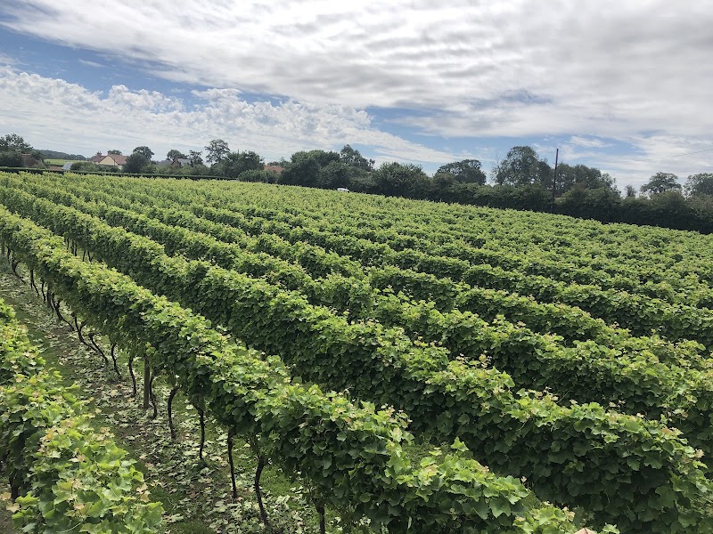 Winbirri Vineyard - Event Venue in Surlingham, Norfolk
