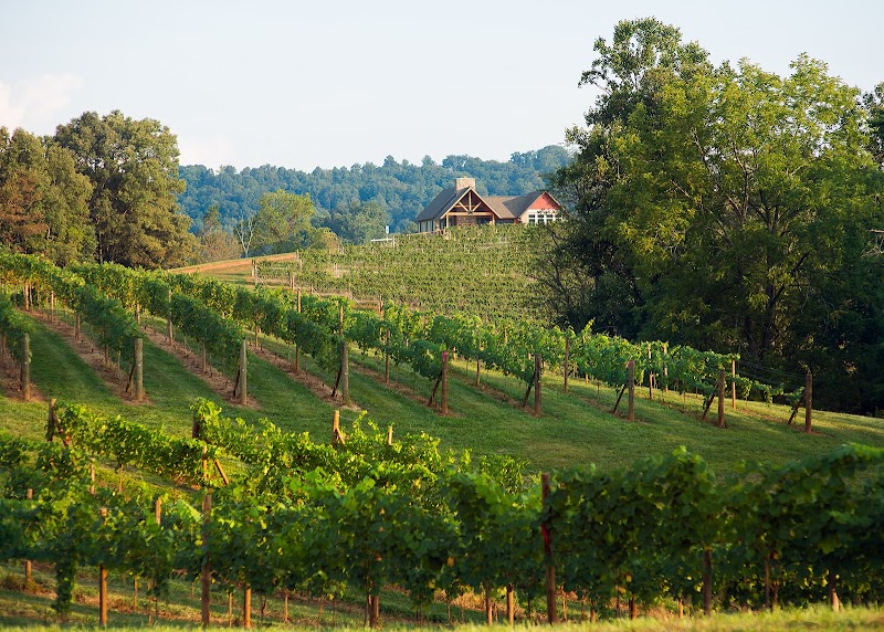 Addison Farms Vineyard - Event Venue in Leicester, North Carolina