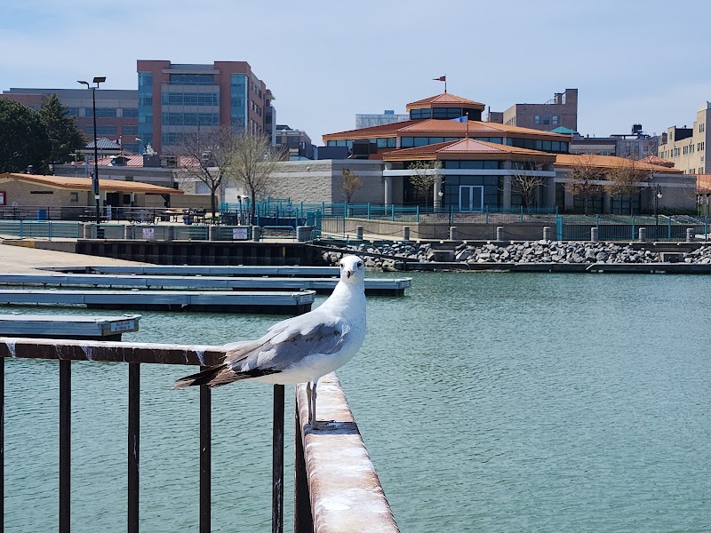 Festival Park, Racine Civic Center - Event Venue in Racine, Wisconsin