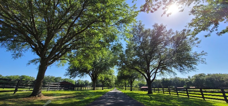 Oak Lane Weddings & Events - Event Venue in Alachua, Florida
