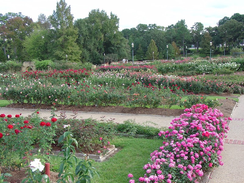 Tyler Rose Garden - Event Venue in Tyler, Texas