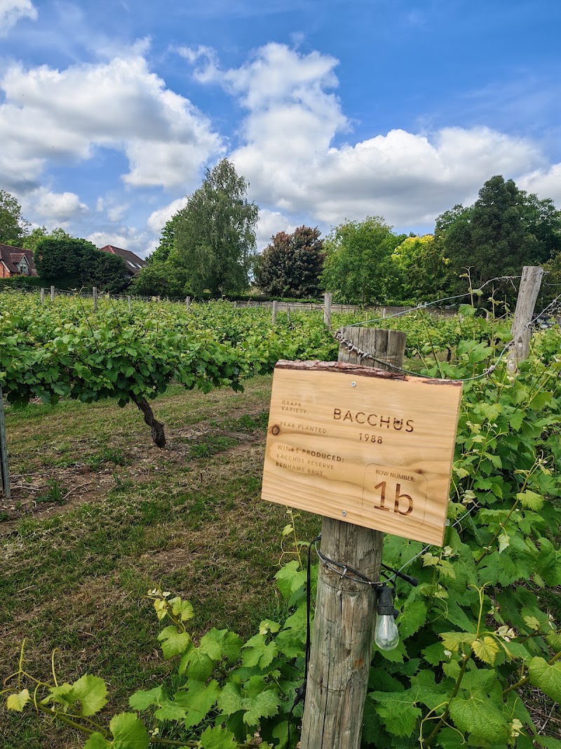 Oaken Grove Vineyard - Event Venue in Fawley, Buckinghamshire