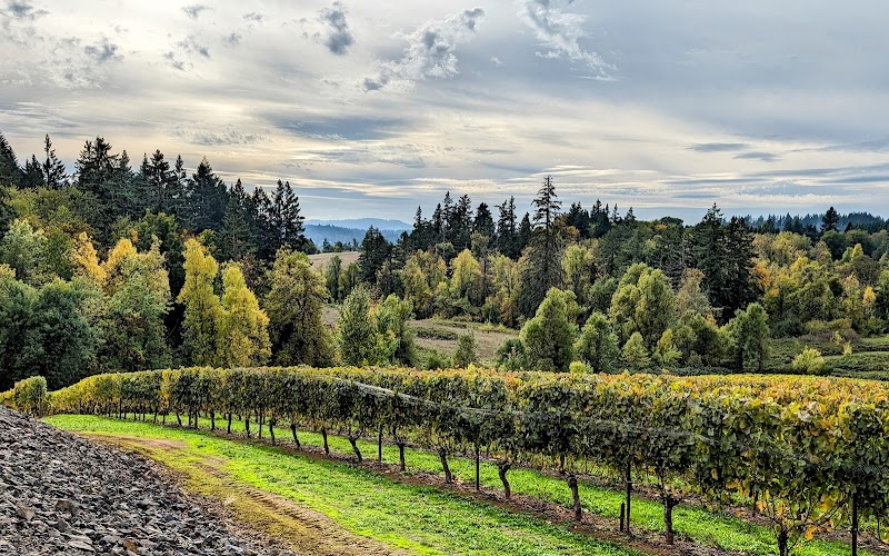 Oswego Hills Vineyard - Event Venue in West Linn, Oregon