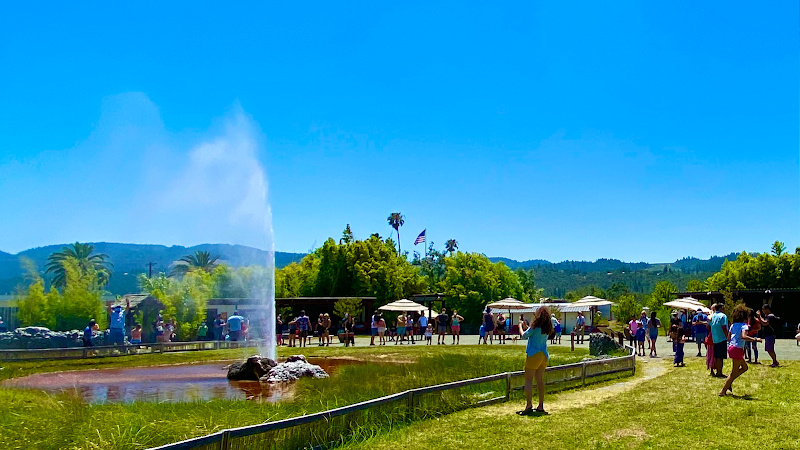 Old Faithful Geyser of California - Event Venue in Calistoga, California