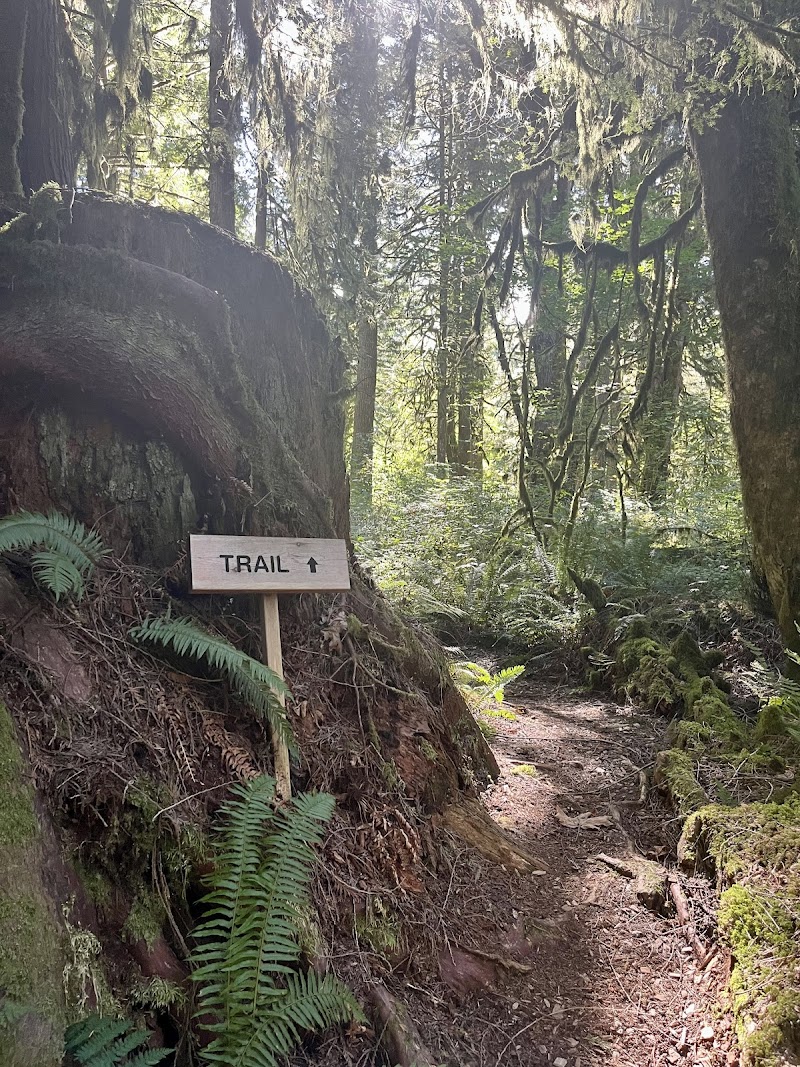 Rainbow Lodge Retreat Center - Event Venue in North Bend, Washington