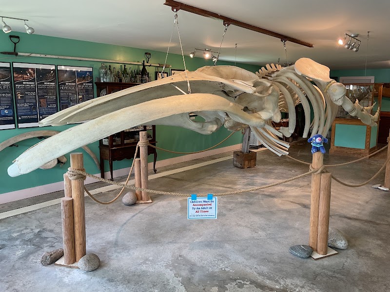 Oceanarium and Education Center - Event Venue in Bar Harbor, Maine