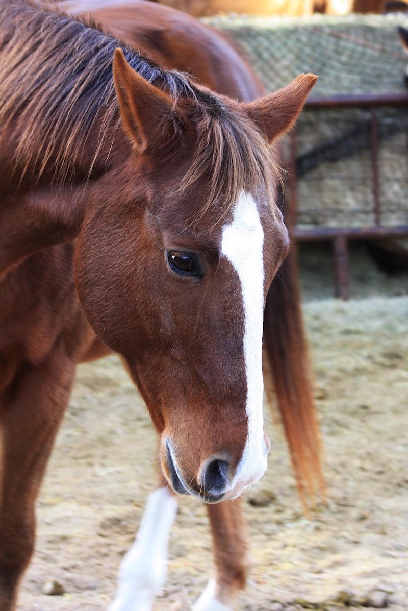 Hope Retreat Ranch, HR Ranch Inc - Event Venue in Choctaw, Oklahoma
