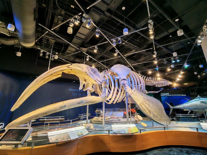 Nature Research Center - Event Venue in Raleigh, North Carolina