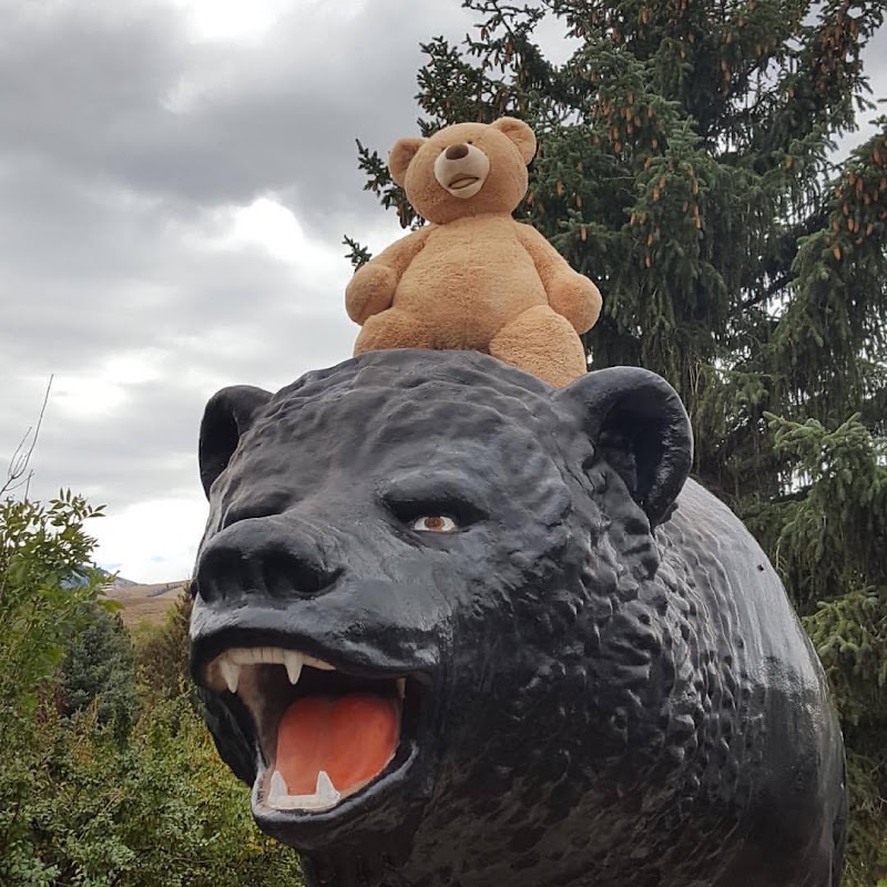 The Black Bear Inn - Event Venue in Dubois, Wyoming
