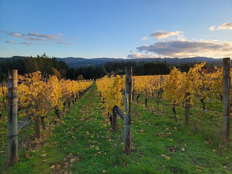Ruby Vineyard - Event Venue in Hillsboro, Oregon