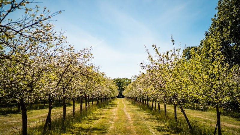 Froginwell Vineyard - Event Venue in Woodbury Salterton, England