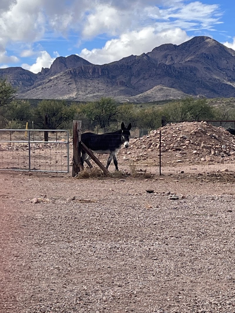 2 Raven Ranch - Event Venue in Tubac, Arizona