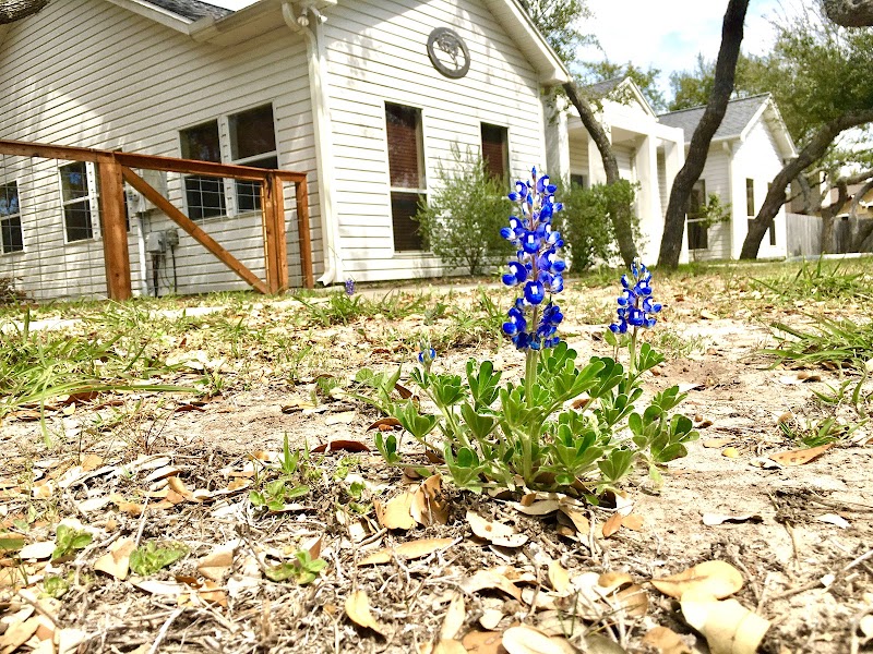 Twisted Oak Work Suites - Event Venue in Rockport, Texas