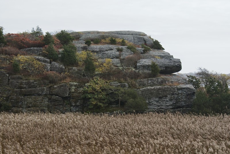 Norman Bird Sanctuary - Event Venue in Middletown, Rhode Island