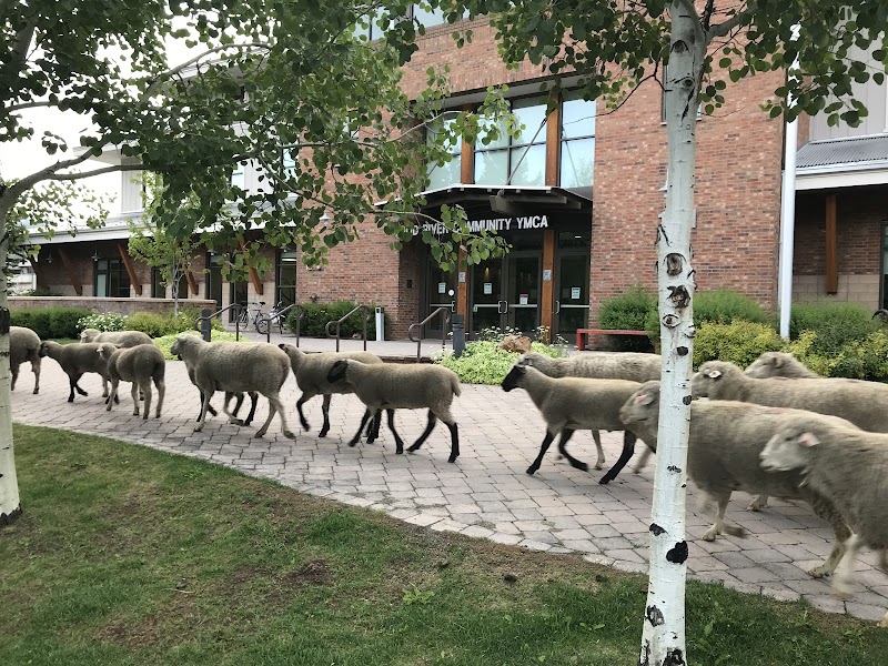 Wood River Community YMCA - Event Venue in Ketchum, Idaho