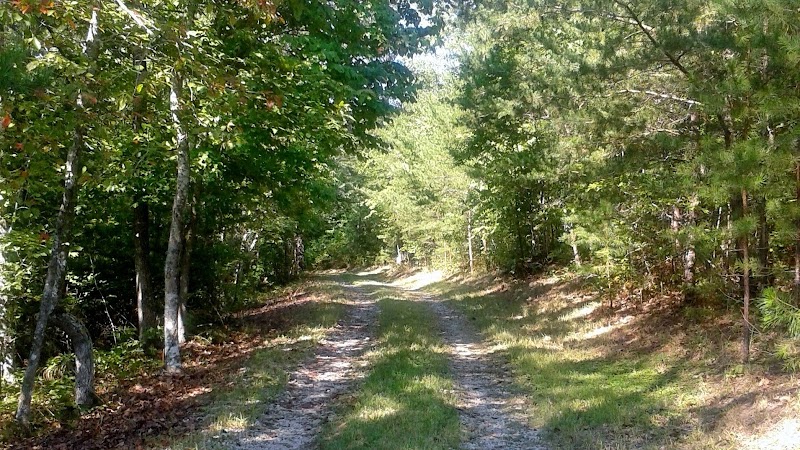 Clear View Retreat - Event Venue in Lancing, Tennessee