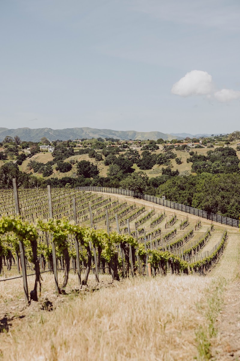 Buttonwood Farm & Vineyard - Event Venue in Solvang, California