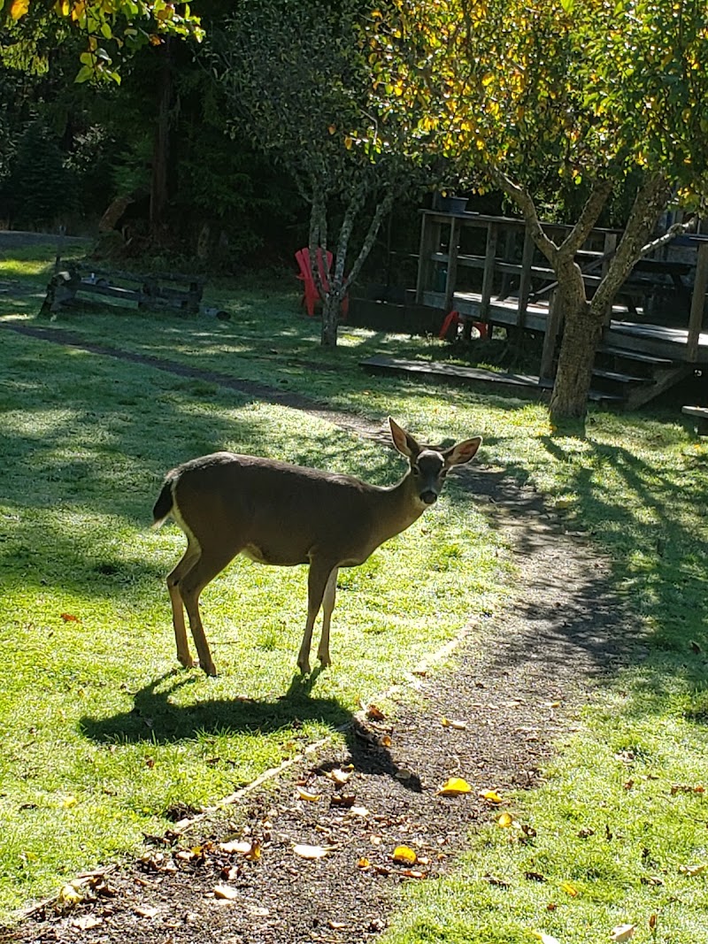 Antioch Ranch Christian Retreat - Event Venue in Mendocino, California