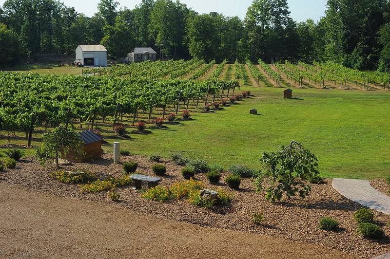 Natchez Hills Vineyard and Winery - Event Venue in Hampshire, Tennessee