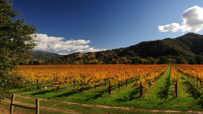 Nelson Family Vineyards - Event Venue in Ukiah, California
