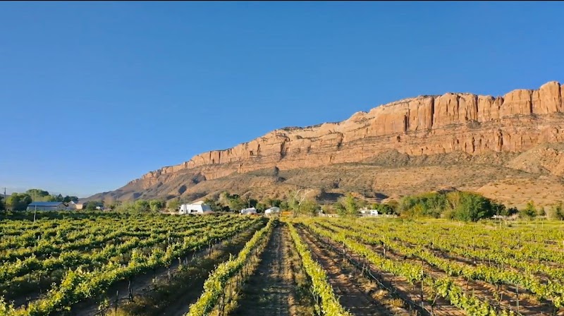 Spanish Valley Vineyard & Winery - Event Venue in Moab, Utah