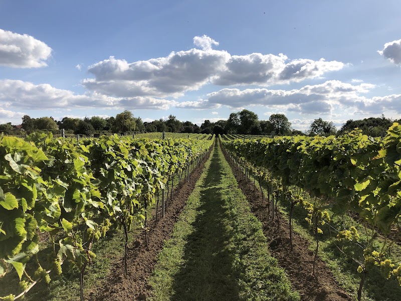Dunesforde Vineyard - Event Venue in Upper Dunsforth, North Yorkshire