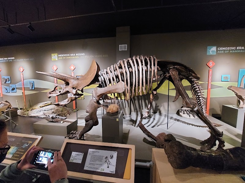 Buffalo Museum of Science - Event Venue in Buffalo, New York