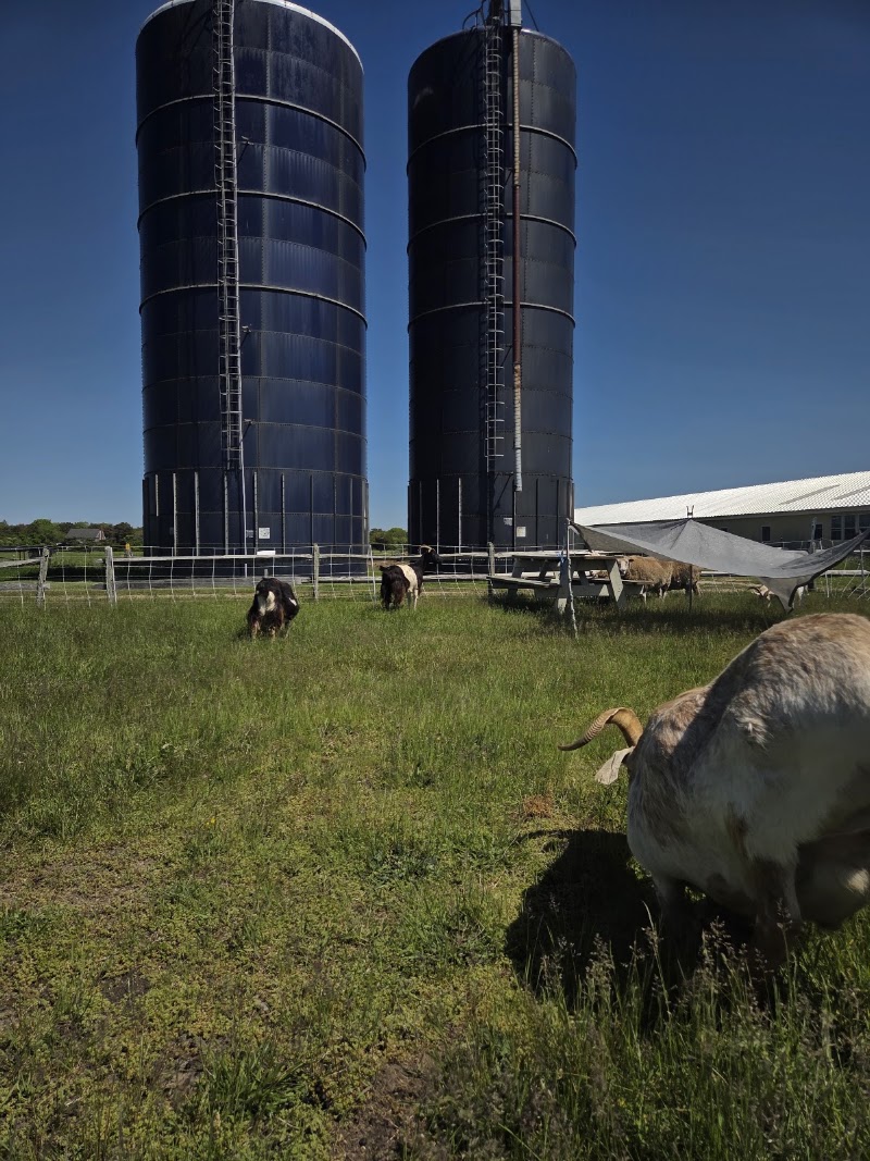 The FARM Institute - Event Venue in Edgartown, Massachusetts