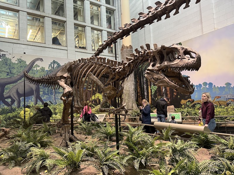 Carnegie Museums - Event Venue in Pittsburgh, Pennsylvania