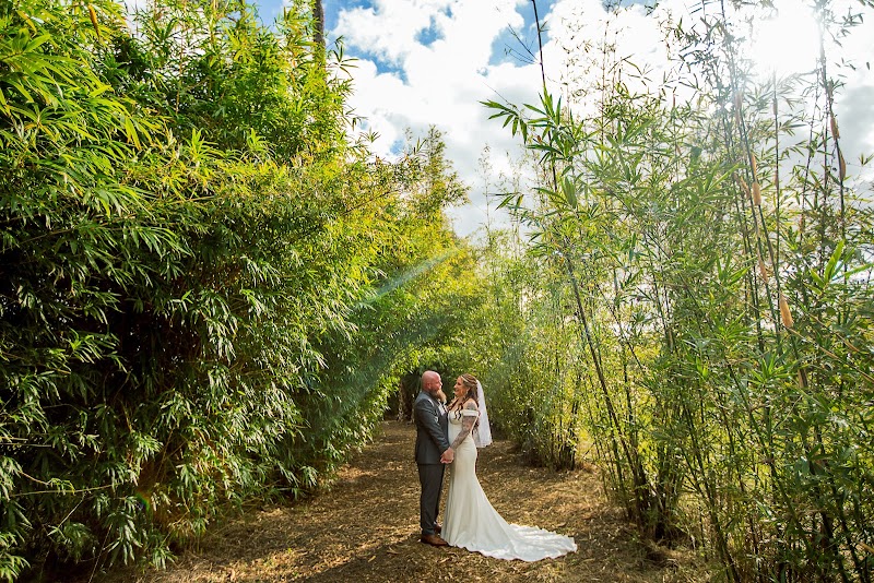 Buena Vista Farms and Brewery - Event Venue in Loxahatchee Groves, Florida