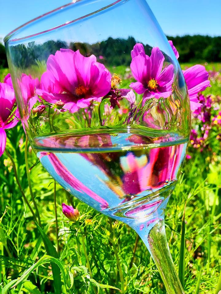 Windmill Creek Winery & Farm Kitchen - Event Venue in Berlin, Maryland