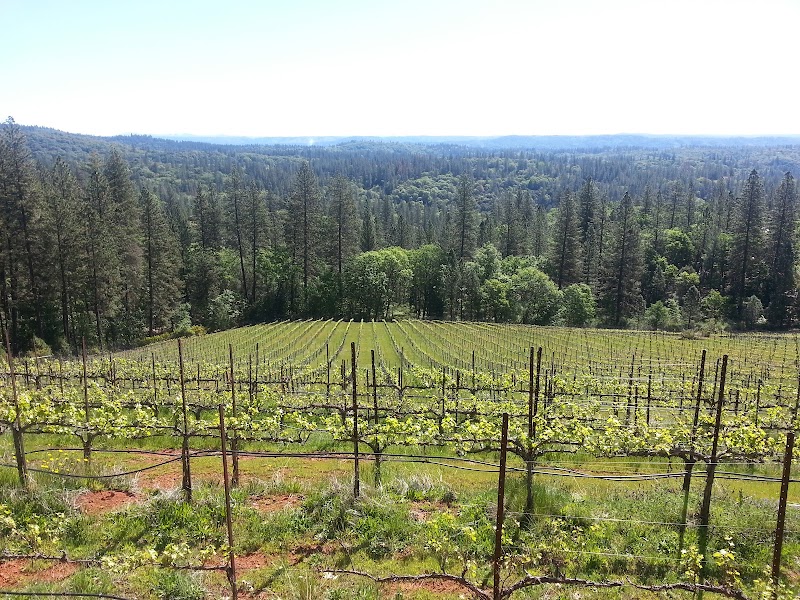 Lucchesi Vineyards & Winery - Event Venue in Grass Valley, California