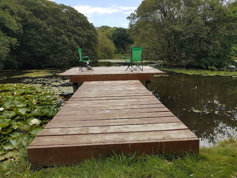 Werganrose Farm - Event Venue in Upper Killay, Swansea