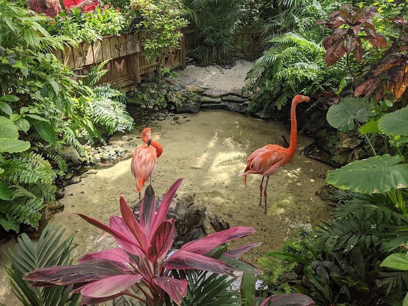 The Key West Butterfly and Nature Conservatory - Event Venue in Key West, Florida