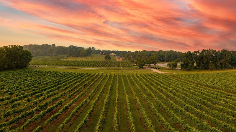 Arrington Vineyards - Event Venue in Arrington, Tennessee