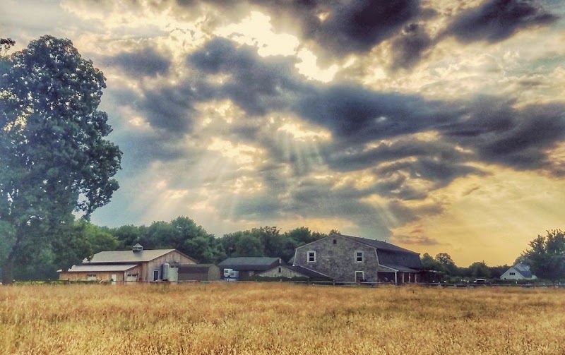 Cream Ridge Winery - Event Venue in Upper Freehold, New Jersey