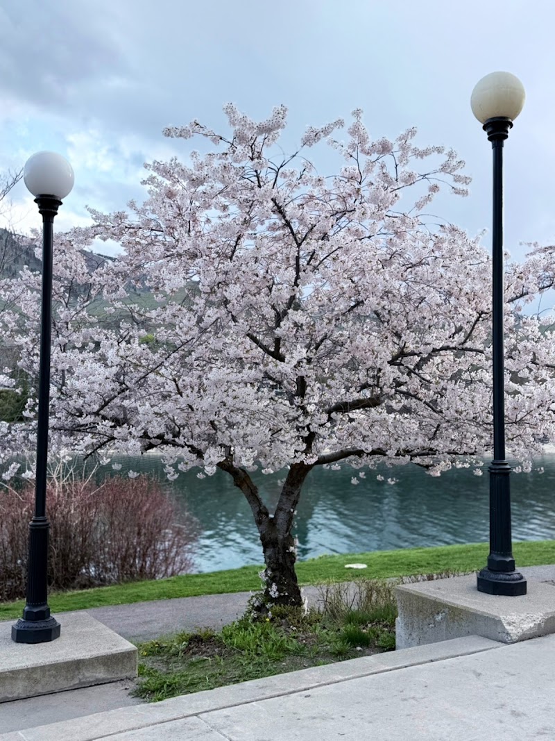 THE LANDING HOTEL - Event Venue in Chelan, Washington