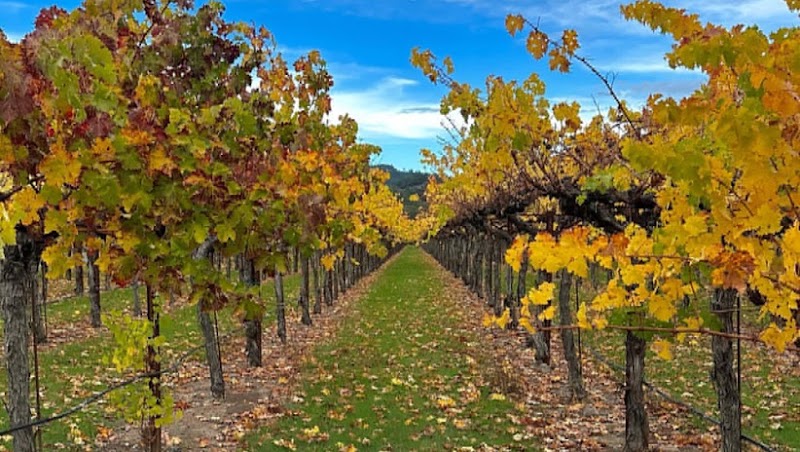 Bella Montagna Winery - Event Venue in San Jose, California