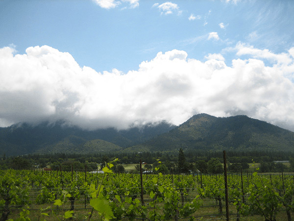 LongSword Vineyard - Event Venue in Jacksonville, Oregon