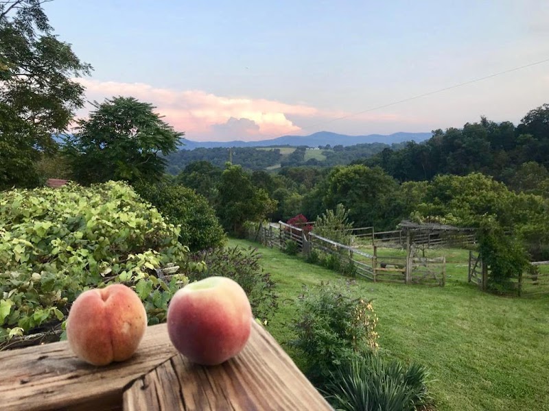 Heartstone Country Retreat - Event Venue in Buena Vista, Virginia