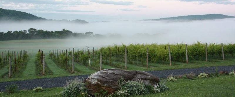 Villa Milagro Vineyards - Event Venue in Phillipsburg, New Jersey