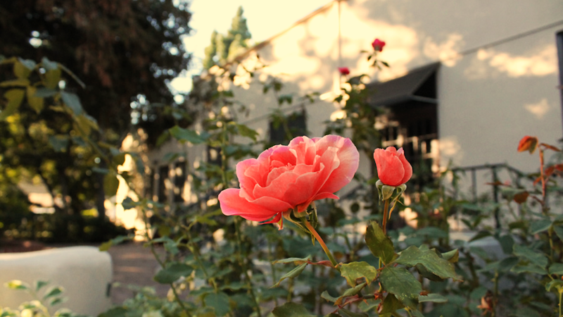 Orange Woman's Club Events - Event Venue in Orange, California