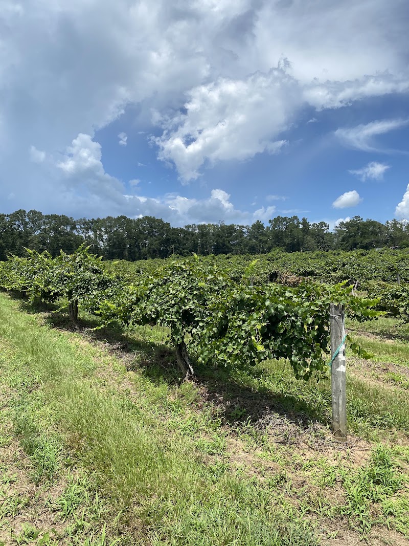 Windy Hill Vineyard - Event Venue in Tallahassee, Florida