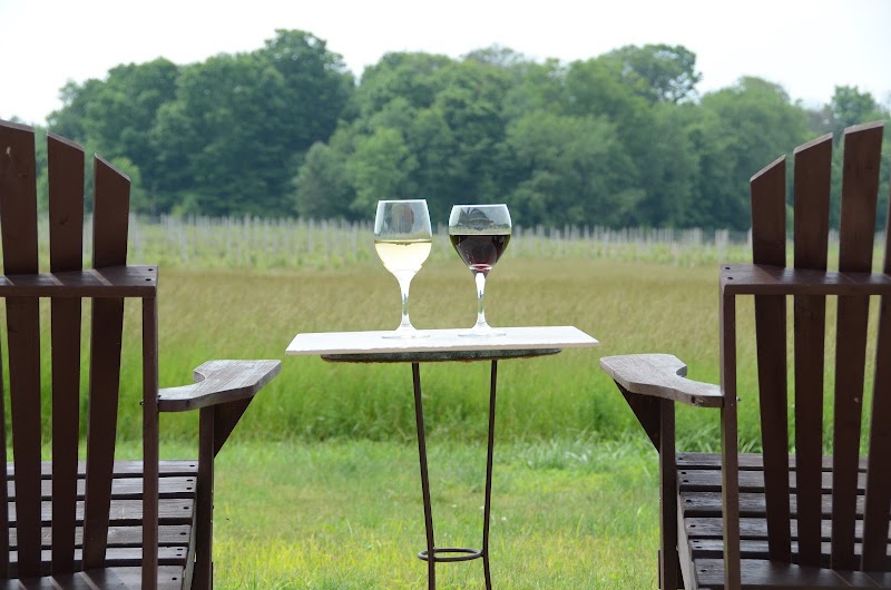 Cogdal Vineyards - Event Venue in South Haven, Michigan