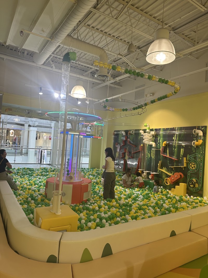 Jersey Jungle Indoor Playground - Event Venue in Jersey City, New Jersey