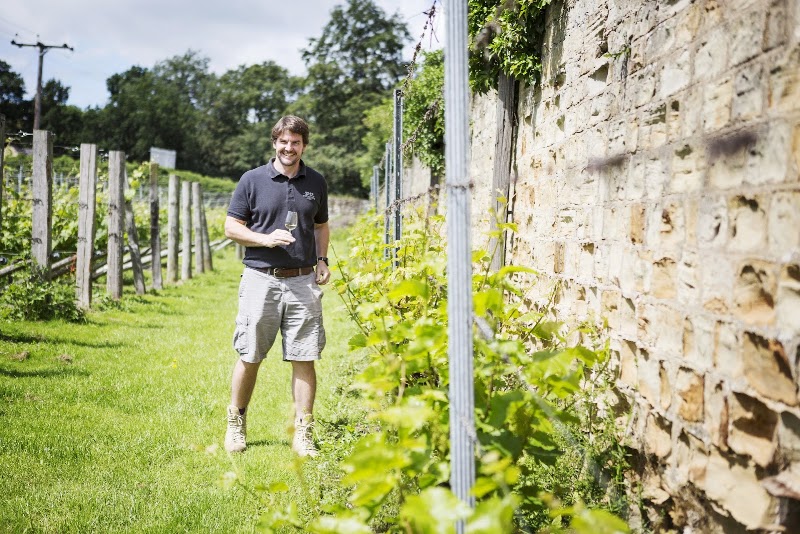 English Wine Project – Winery at Darley Abbey - Event Venue in Derby, England